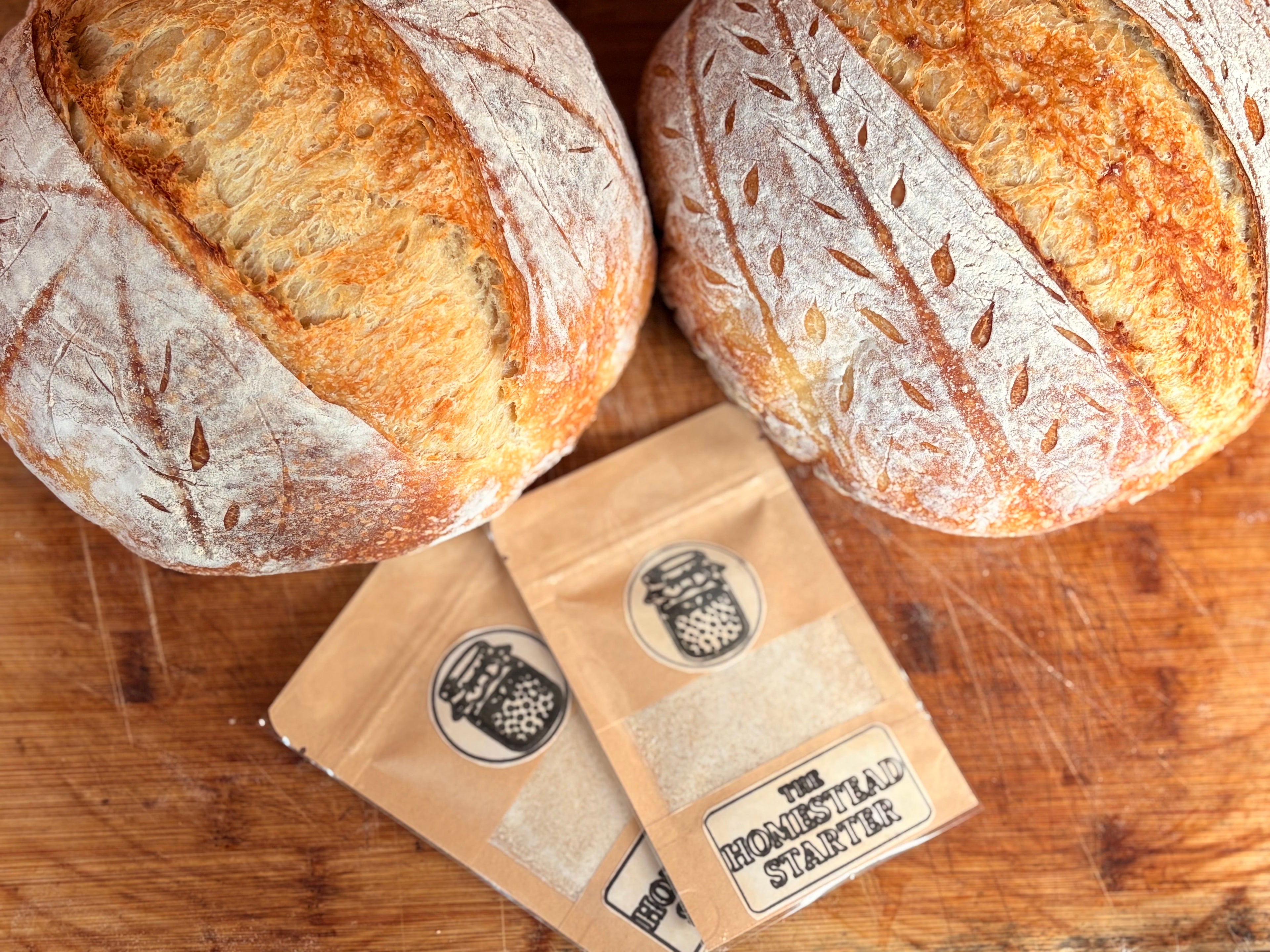 Homestead Sourdough Starter