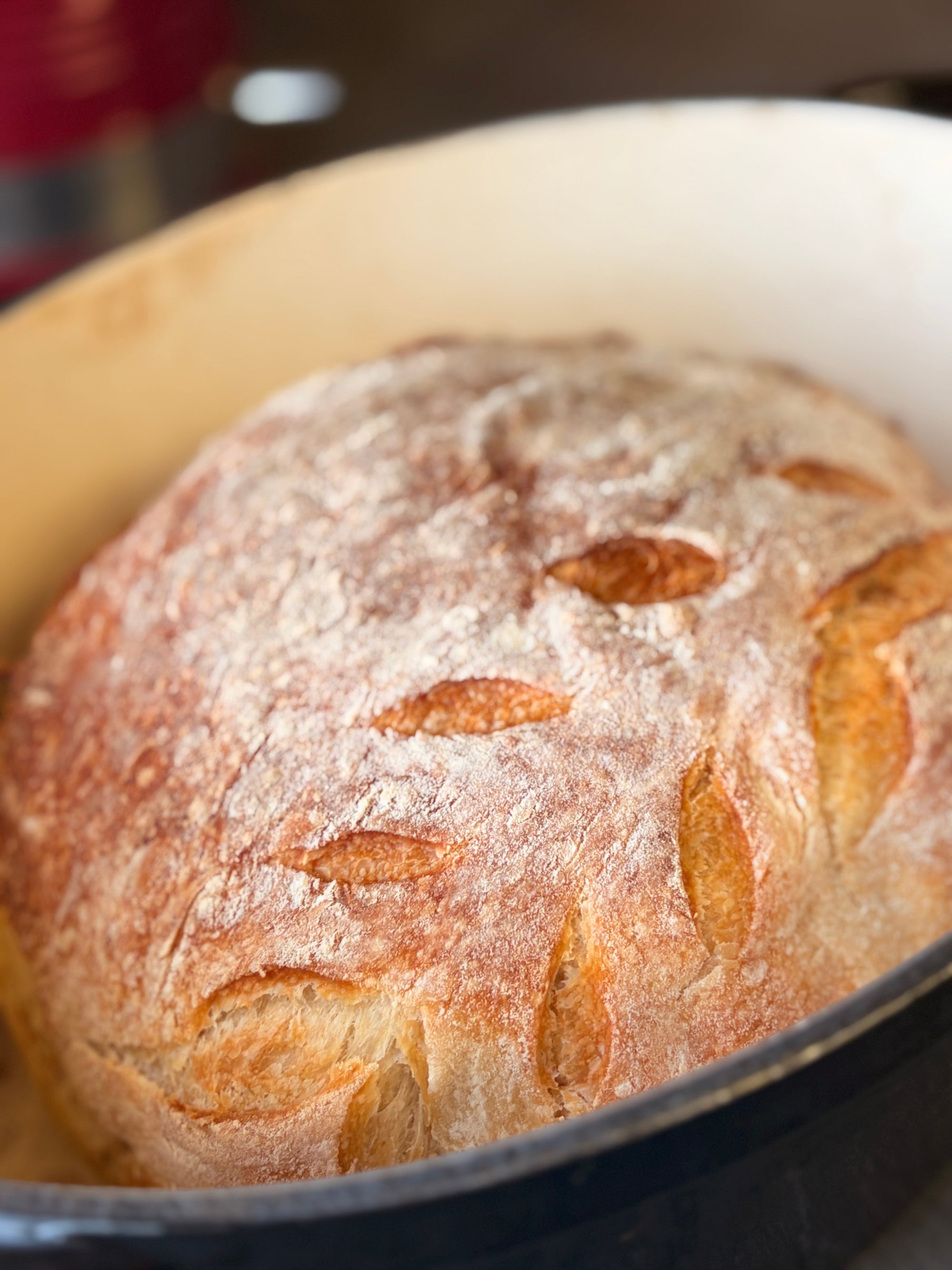 Active Homestead Sourdough Starter