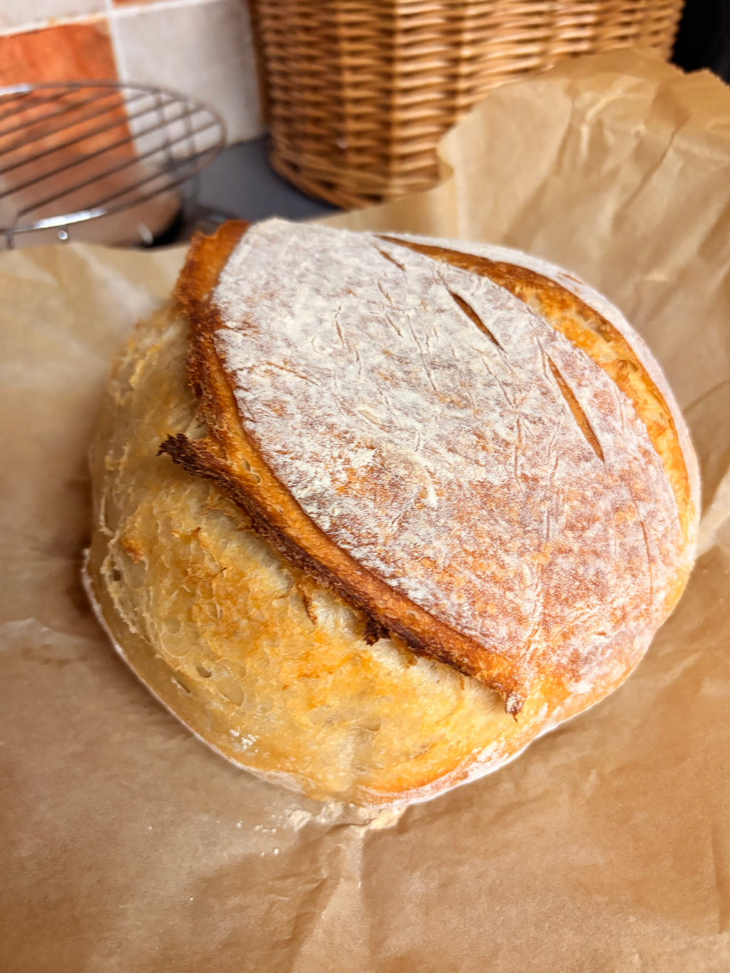 Active Homestead Sourdough Starter