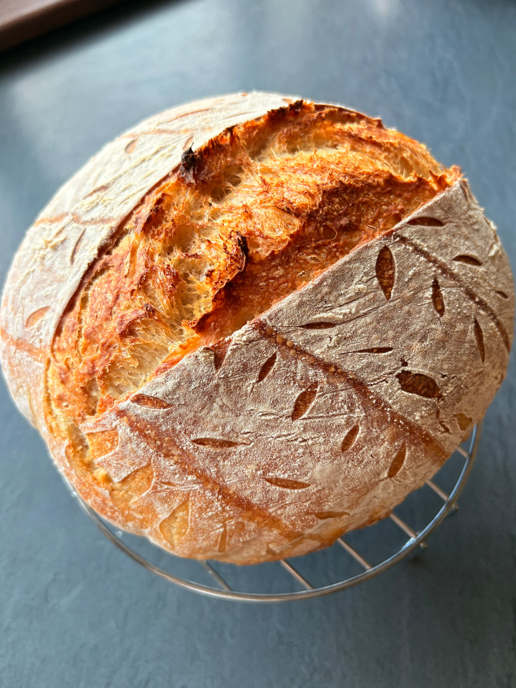 Active Homestead Sourdough Starter