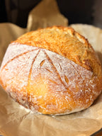 Active Homestead Sourdough Starter