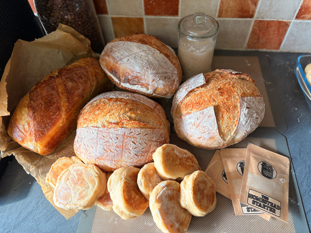 Active Homestead Sourdough Starter