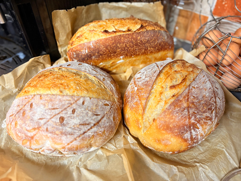Active Homestead Sourdough Starter