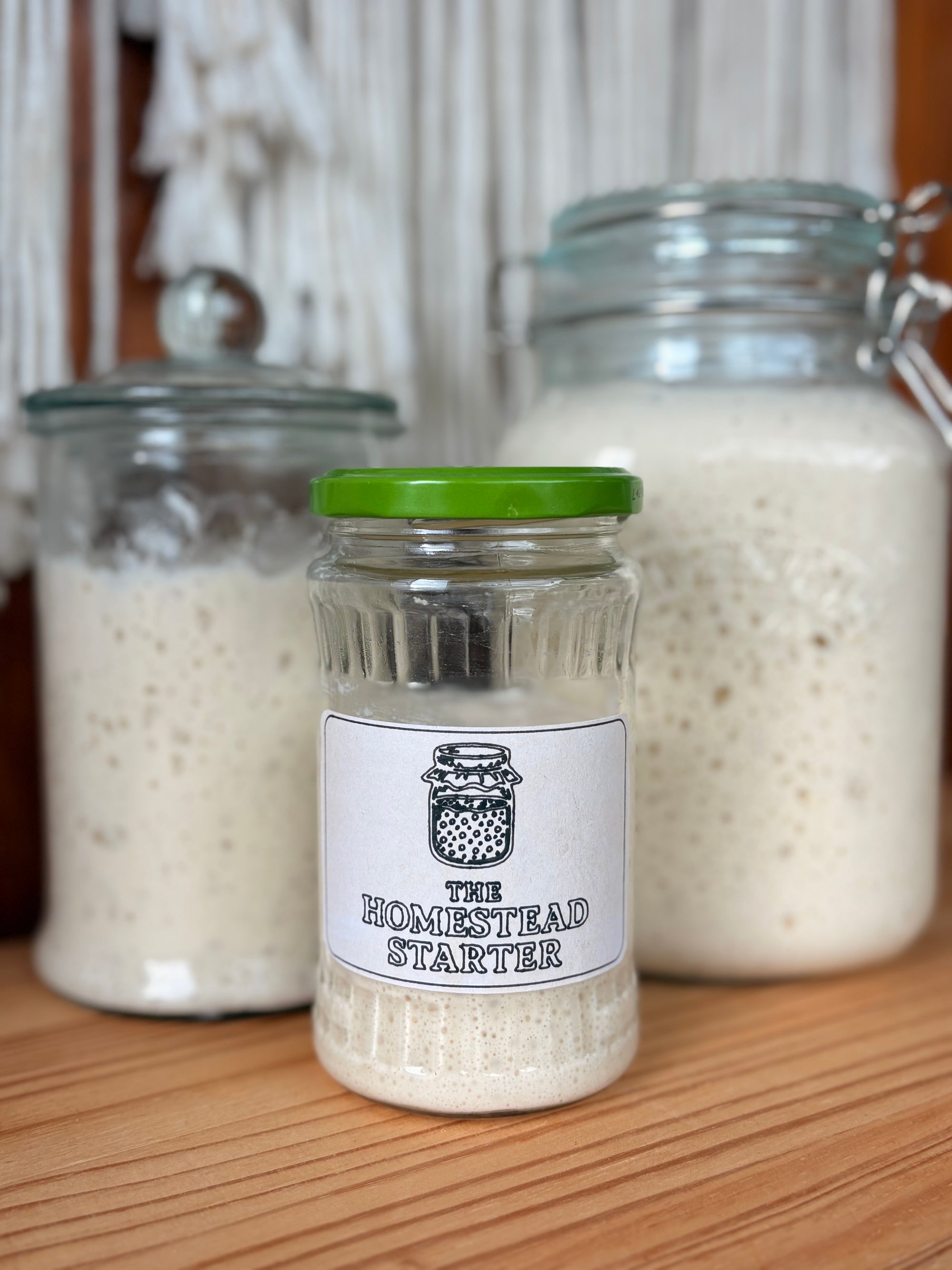 Active Homestead Sourdough Starter
