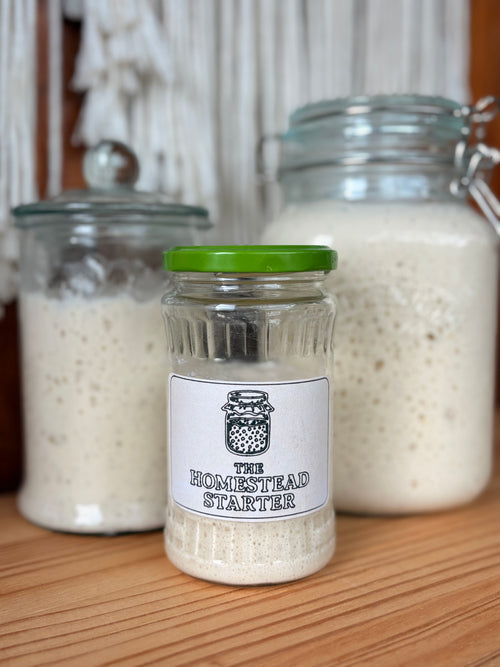 Active Homestead Sourdough Starter