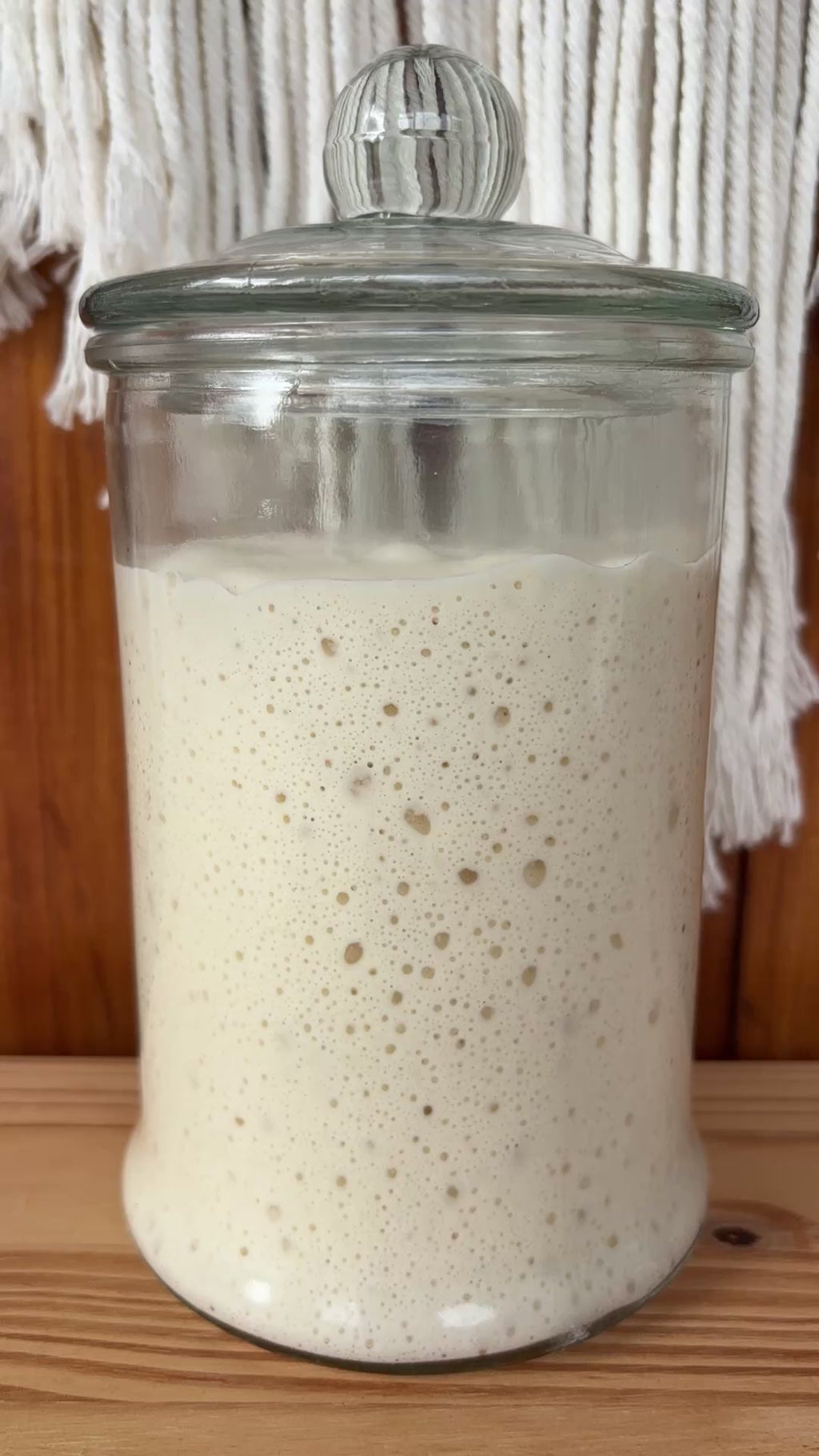 Active Homestead Sourdough Starter